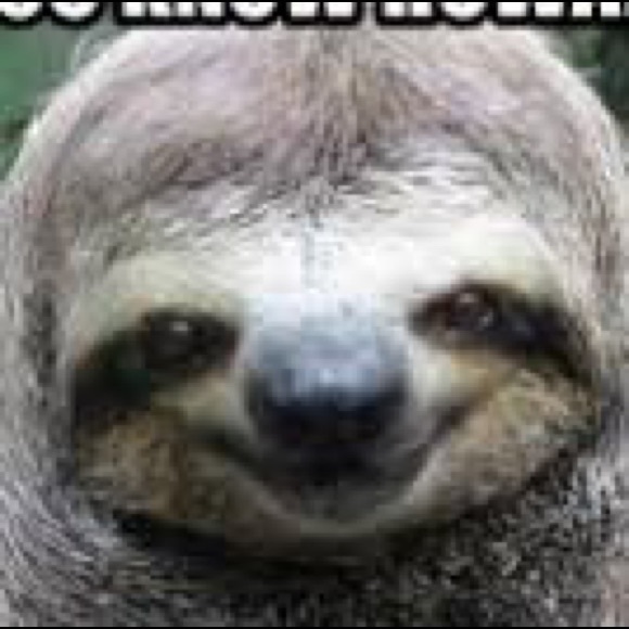 Meet your Posher, Bella - Picture 1 of 1